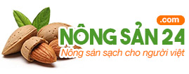 Hạt điều